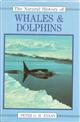 The Natural History of Whales and Dolphins