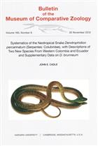 Systematics of the Neotropical Snake Dendrophidion percarinatum (Serpentes: Colubridae), with descriptions of two new species from western Colombia and Ecuador and supplementary data on D. brunneum