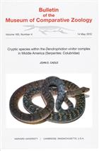 Cryptic species within the Dendrophidion vinitor complex in Middle America (Serpentes: Colubridae)
