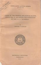 Fishes of the Phoenix and Samoan Islands collected in 1939 during the expedition of the U.S. 