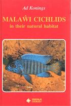 Malaŵi Cichlids in their natural habitat