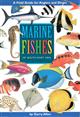 Marine Fishes of South-East Asia: A Field Guide for Anglers and Divers