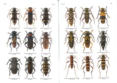 Cerambycidae (Coleoptera) of Canada and Alaska: Identification guide ...