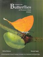 A Guide to Butterflies of Western Ghats (India):  Includes Butterflies of Kerala, Tamilnadu, Karnataka, Goa, Maharashtra and Gujarat States