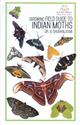 Birdwing Field Guide to Indian Moths