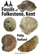 Fossils of Folkestone, Kent