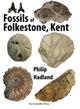 Fossils of Folkestone, Kent