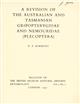 A Revision the Australian and Tasmanian Gripopterygidae and Nemouridae (Plecoptera)