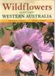 Wildflowers of southern Western Australia
