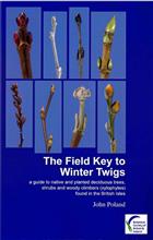 The Field Key to Winter Twigs: a guide to native and planted deciduous trees, shrubs and woody climbers (xylophytes) found in the British Isles