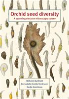 Orchid seed diversity: A scanning electron microscopy survey