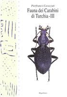 Fauna dei Carabini di Turchia  3