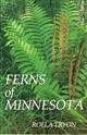 Ferns of Minnesota