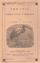 The Ibis: A Quarterly Journal of Ornithology. Thirteenth Series Vol. II [Vol. 74] (1-3)
