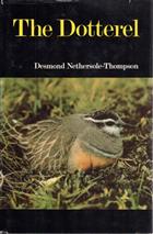 The Dotterel