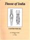 Fauna of India: Gastrotricha