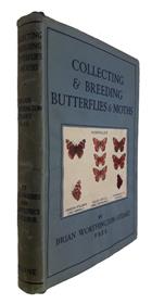 Collecting and Breeding Butterflies and Moths