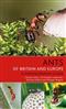 Ants of Britain and Europe: A Photographic Guide