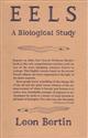 Eels: A Biological Study