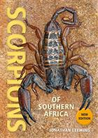 Scorpions of South Africa