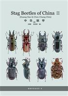 Stag Beetles of China III