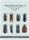 Stag Beetles of China III