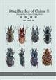 Stag Beetles of China III