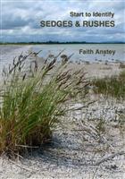 Start to Identify Sedges & Rushes