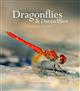 Dragonflies & Damselfies: A natural history