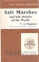 Salt Marshes and Salt Deserts of the World