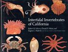 Intertidal Invertebrates of California