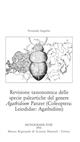 Revisione tassonomica delle specie paleartiche del genere Agathidium Panzer (Coleoptera: Leiodidae: Agathidiini)