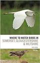 Where To Watch Birds in Somerset, Gloucestershire and Wiltshire