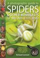 A Photographic Guide to Spiders & Other Minibeasts of Britain & Ireland