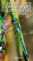 A Beginner's Guide to Dragonflies & Damselflies of Britain & Ireland