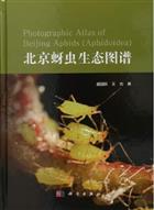 Photographic Atlas of Beijing Aphids (Aphidoidea)