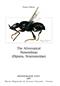 The Afrotropical Nemotelinae (Diptera, Stratiomyidae)