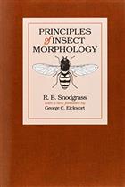 Principles of Insect Morphology