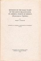 Revision of the male wasps of the genus Brachycistis in America North of Mexico (Hymenoptera: Tiphiidae)