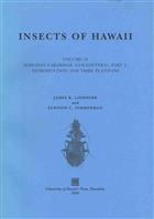 Insects of Hawaii. Vol. 16: Hawaiian Carabidae (Coleoptera), part 1: Introduction and Tribe Platynini
