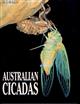 Australian Cicadas