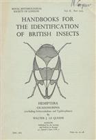 Hemiptera Cicadomorpha (excluding Deltocephalinae and Typhlocybinae) (Handbooks for the Identification of British Insects 2/2a)