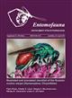 Illustrated and annotated checklist of the Russian cuckoo wasps (Hymenoptera, Chrysididae)