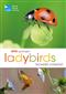 RSPB Spotlight Ladybirds