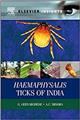 Haemaphysalis Ticks of India