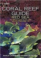 Coral Reef Guide Red Sea