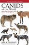 Canids of the World: Wolves, Wild Dogs, Foxes, Jackals, Coyotes, and their Relatives
