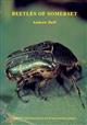 Beetles of Somerset: their status and distribution