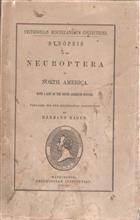 Synopsis of the Neuroptera of North America with a list of the South American Species