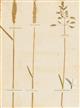 Minutes in Agriculture and Planting ... Illustrated with Specimens of eight Sorts of the best, and two Sorts of the worst Natural Grasses ...